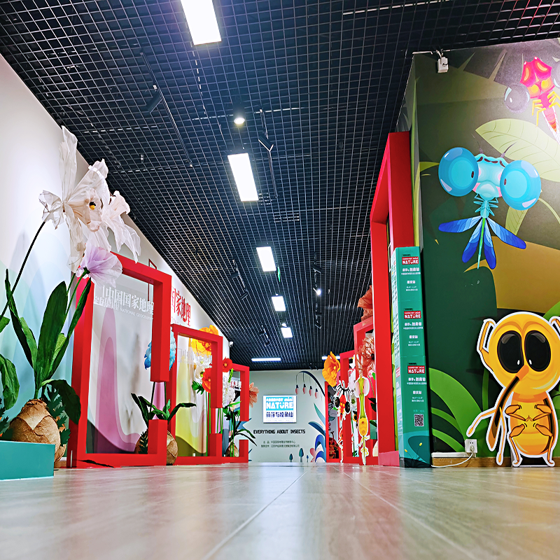 中國(guó)國(guó)家地理自然教育中心昆蟲展巡展